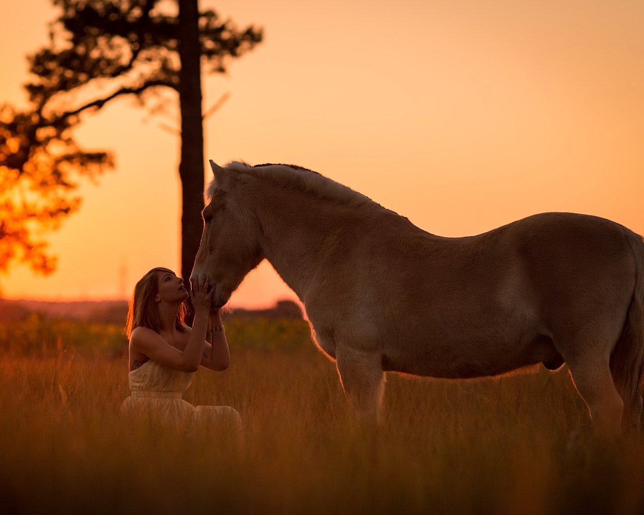Обои закат, девушка, настроение, конь, sunset, girl, mood, horse разрешение 2047x1301 Загрузить