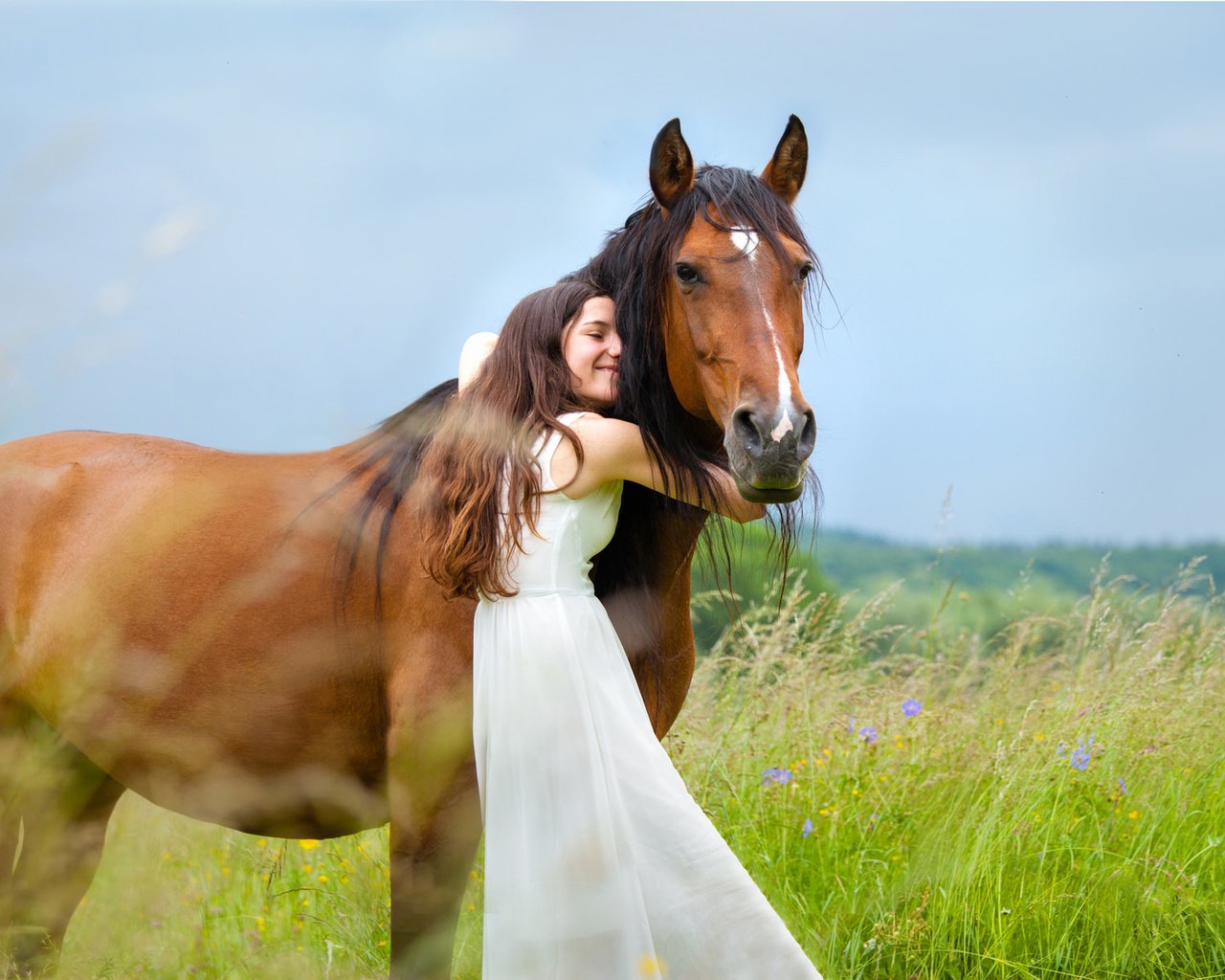 Обои природа, девушка, конь, nature, girl, horse разрешение 2048x1211 Загрузить