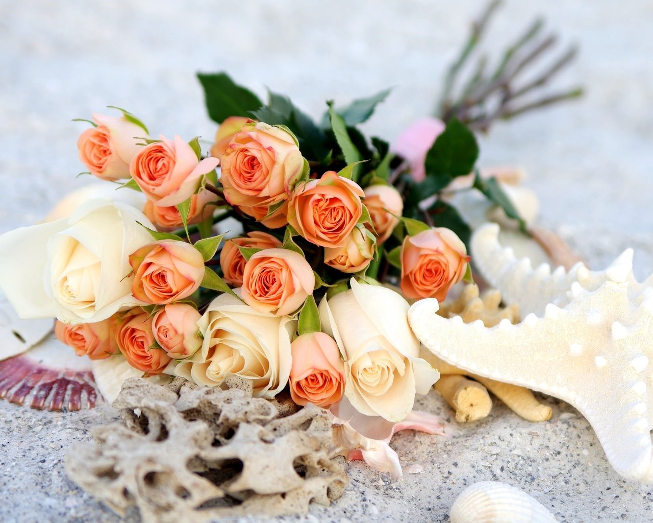 Обои розы, букет, морская звезда, roses, bouquet, starfish разрешение 2048x1356 Загрузить