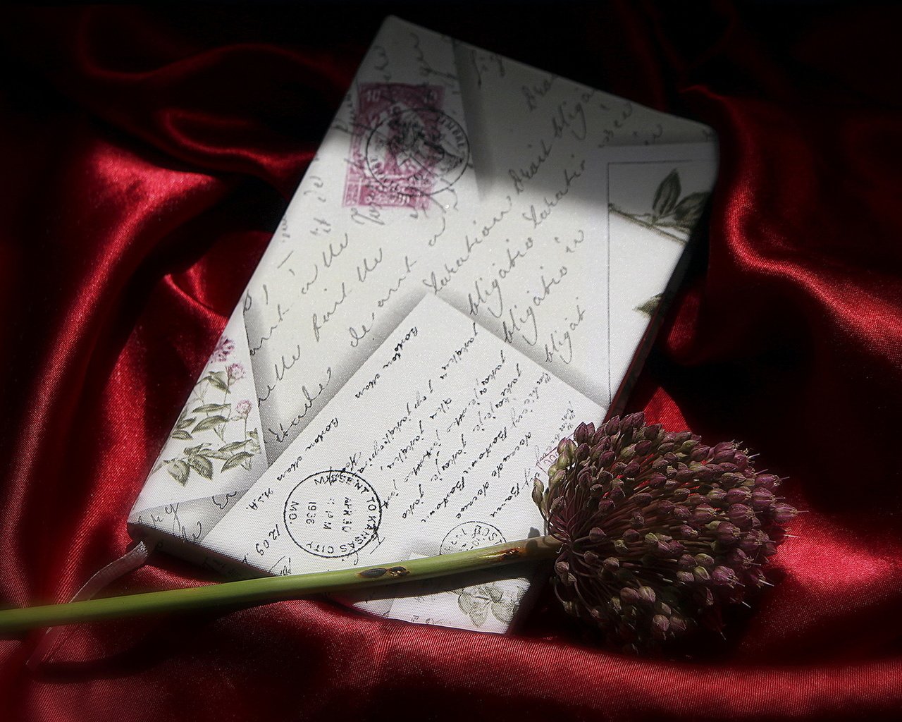 Обои фон, цветок, письмо, background, flower, letter разрешение 1920x1230 Загрузить