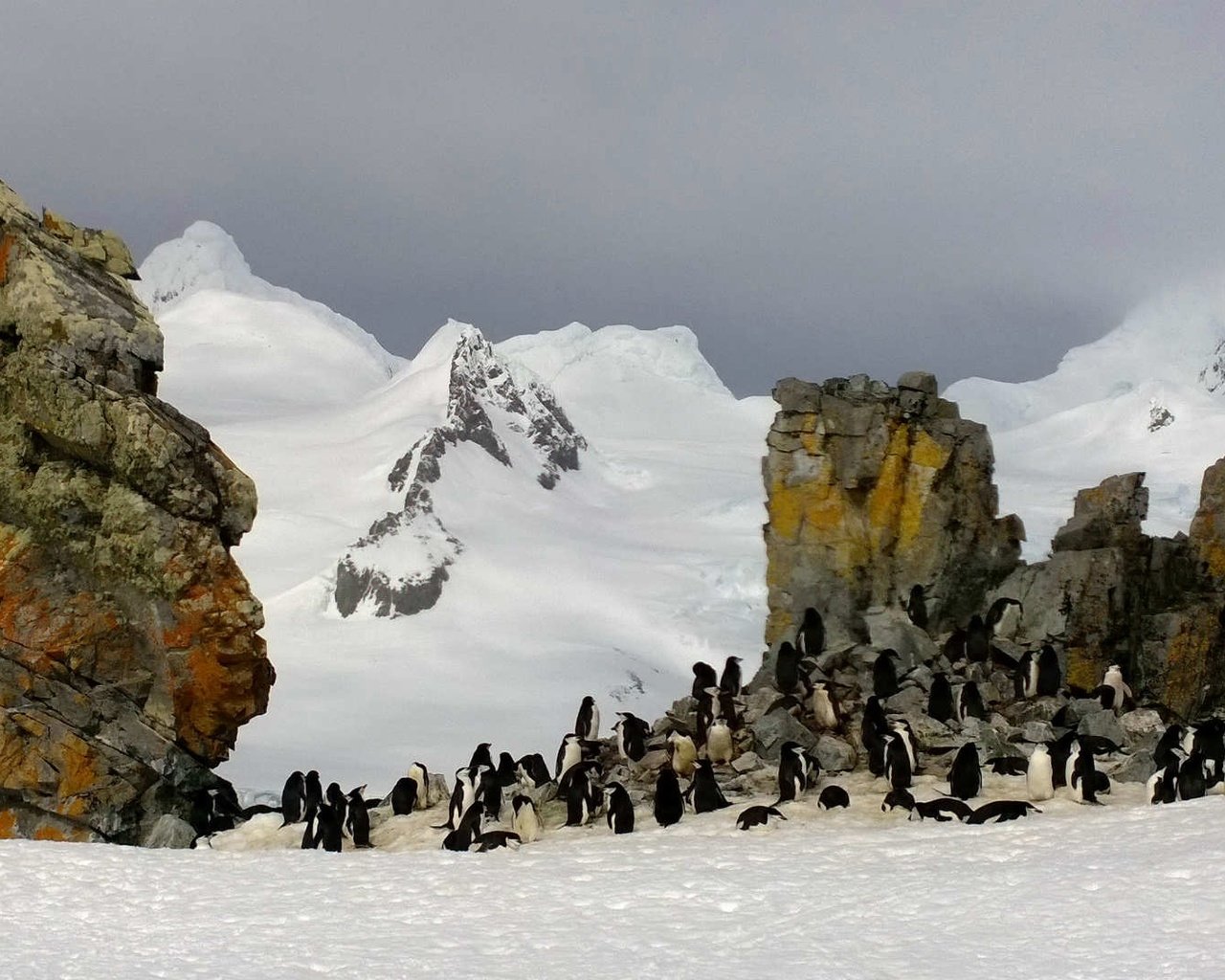 Обои скалы, антарктида, пингвины, rocks, antarctica, penguins разрешение 1920x1080 Загрузить