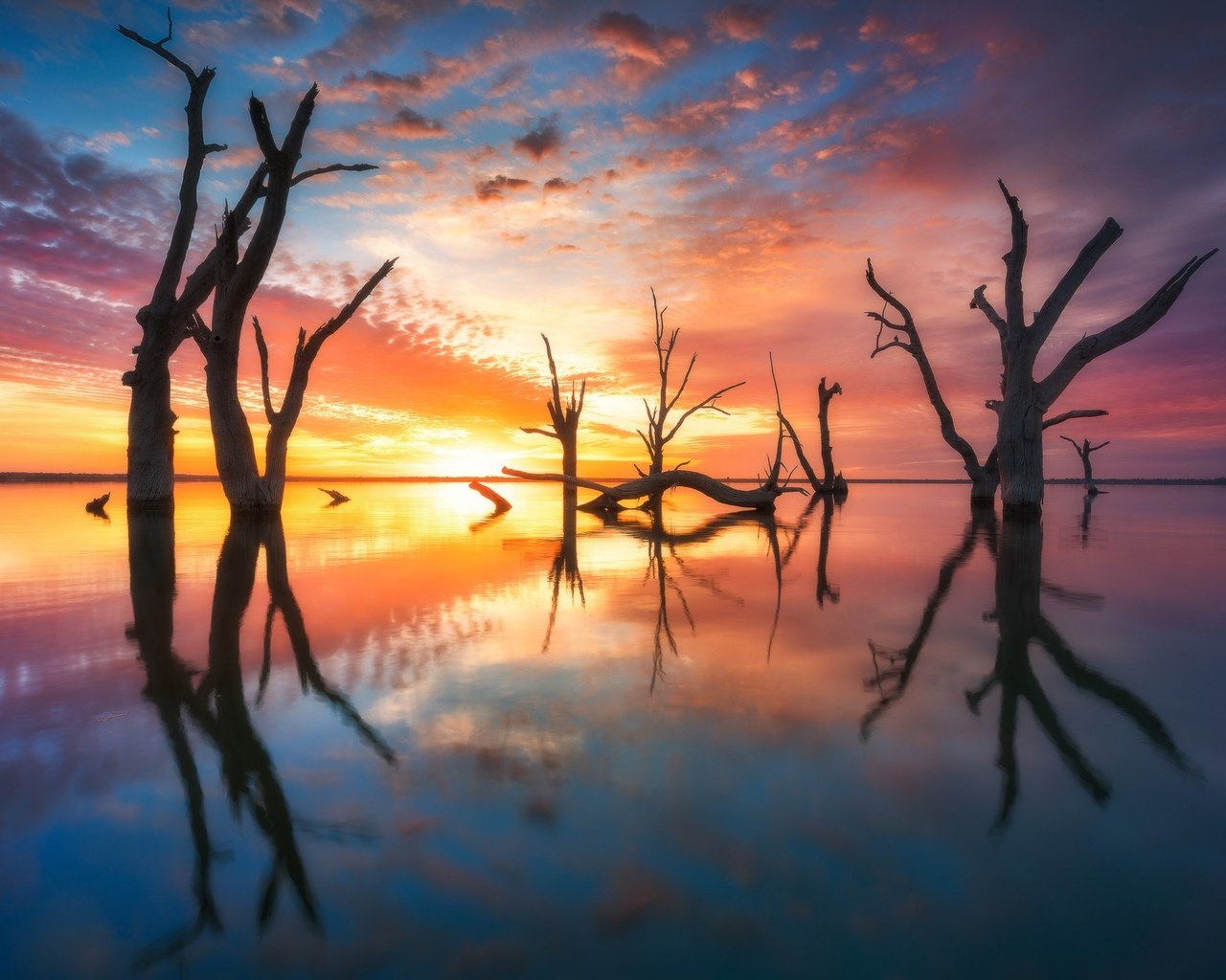 Обои небо, австралия, свет, деревья, вода, вечер, солнце, природа, отражение, the sky, australia, light, trees, water, the evening, the sun, nature, reflection разрешение 2048x1366 Загрузить