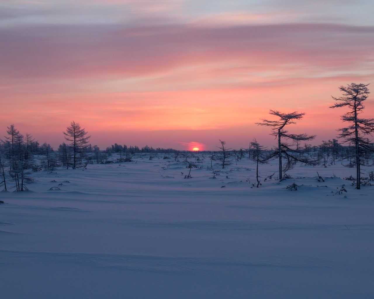 Обои деревья, восход, снег, зима, рассвет, россия, сахалин, trees, sunrise, snow, winter, dawn, russia, sakhalin разрешение 3600x2400 Загрузить