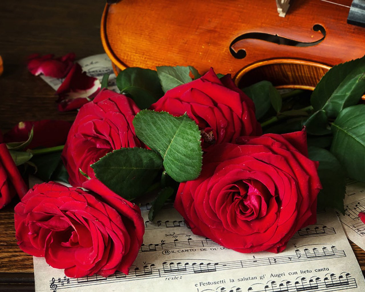 Обои цветы, розы, ноты, скрипка, лист, музыкальный инструмент, flowers, roses, notes, violin, sheet, musical instrument разрешение 1980x1113 Загрузить