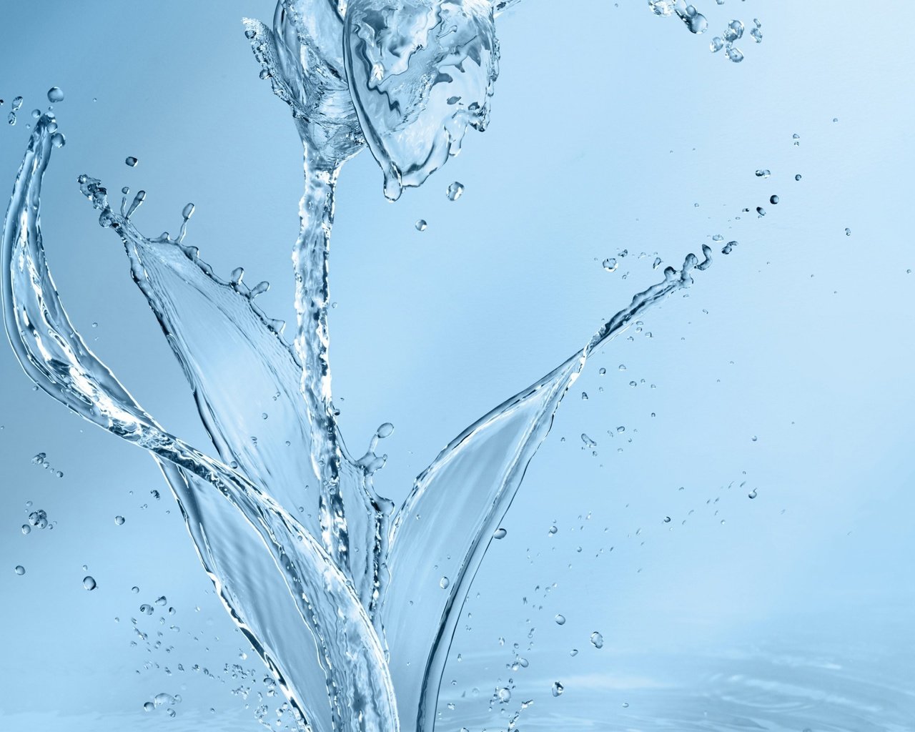 Обои вода, цветок, капли, брызги, голубой фон, капли воды, water, flower, drops, squirt, blue background, water drops разрешение 3360x2100 Загрузить