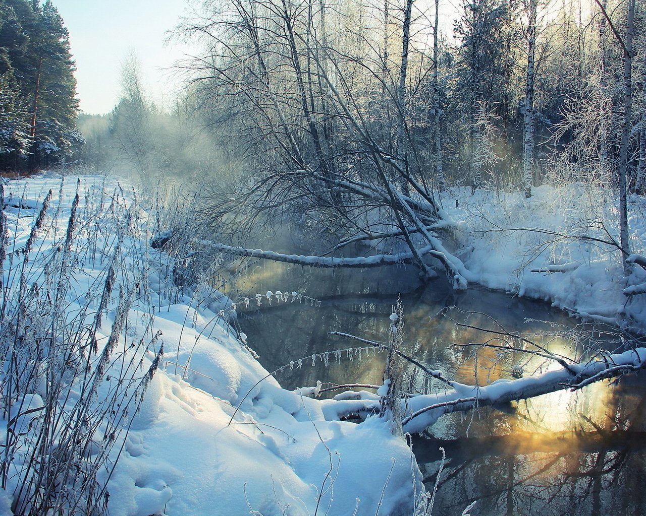 Обои река, снег, дерево, зима, пейзаж, утро, иней, берега, river, snow, tree, winter, landscape, morning, frost, bank разрешение 1920x1279 Загрузить