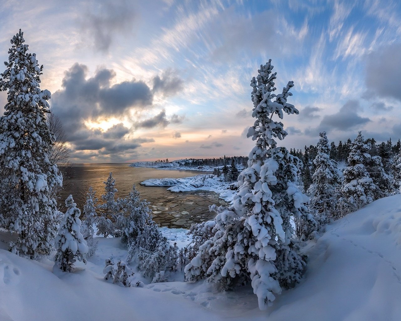 Обои небо, ладожское озеро, облака, озеро, снег, природа, лес, зима, елки, the sky, lake ladoga, clouds, lake, snow, nature, forest, winter, tree разрешение 1920x1200 Загрузить