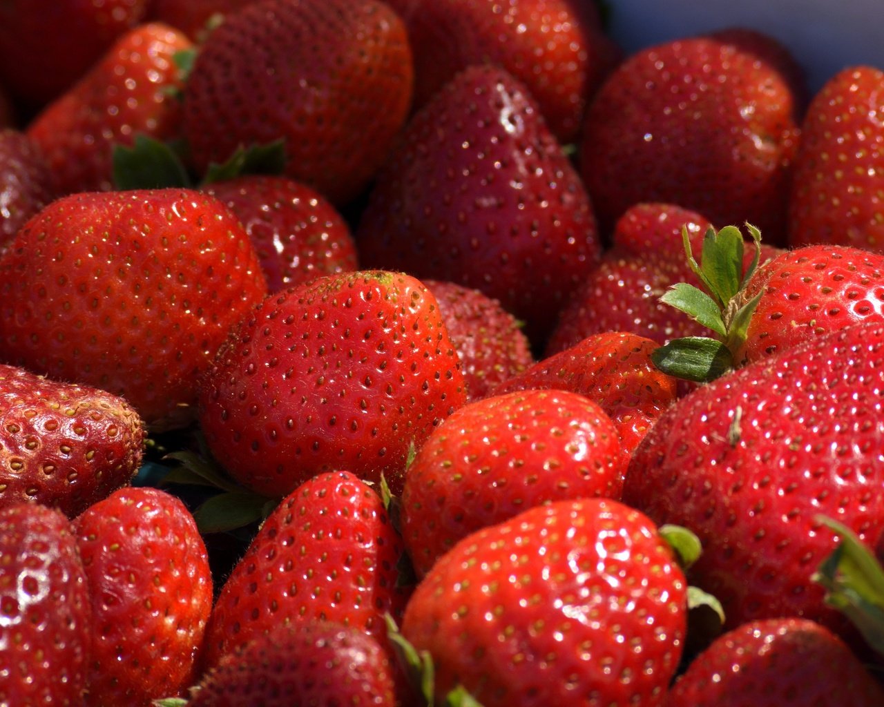 Обои клубника, ягоды, спелые, сладкие, strawberry, berries, ripe, sweet разрешение 5806x3125 Загрузить