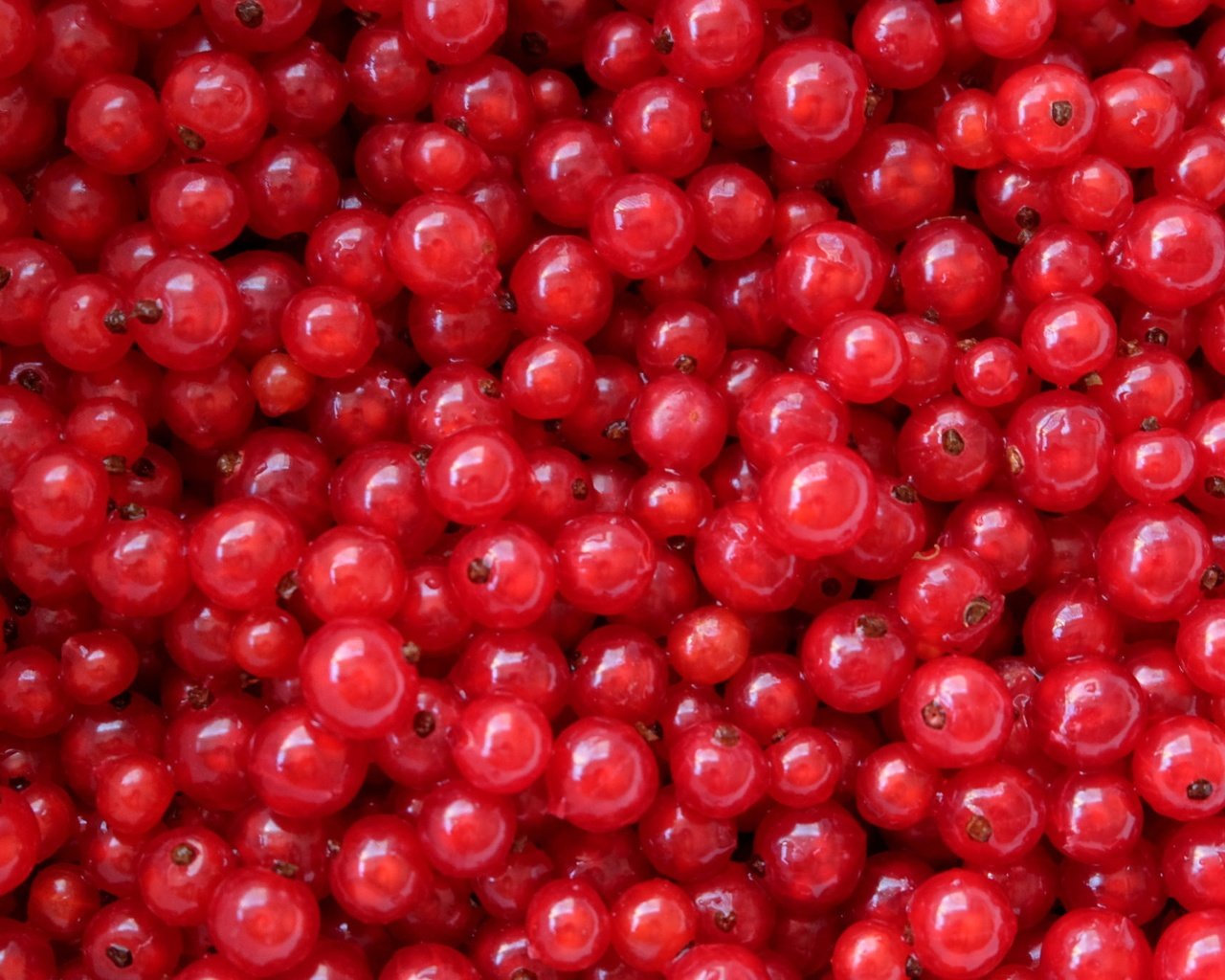 Обои текстура, ягоды, красная смородина, смородина, texture, berries, red currant, currants разрешение 2048x1365 Загрузить