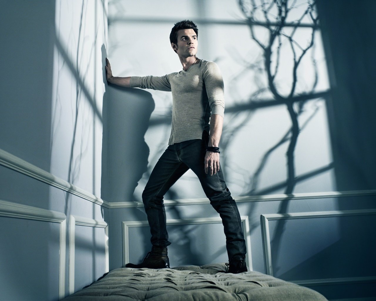 Обои тень, джинсы, мужчина, дэниел гиллис, daniel gillies, shadow, jeans, male, daniel gillis разрешение 8984x6732 Загрузить