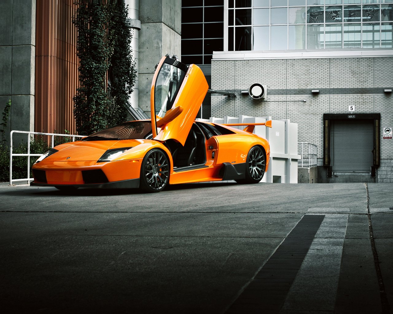 Обои апельсин, ламборгини, murcielago, ламборджини, передний, orange, lamborghini, front разрешение 2048x1365 Загрузить