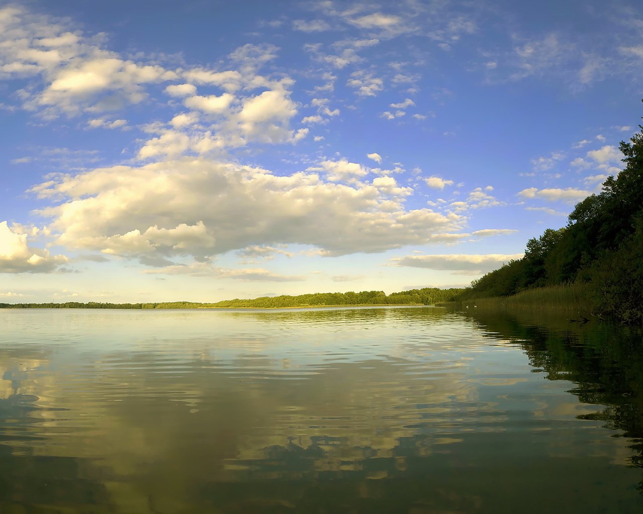 Обои небо, облака, деревья, река, природа, берег, лес, отражение, the sky, clouds, trees, river, nature, shore, forest, reflection разрешение 1920x1080 Загрузить