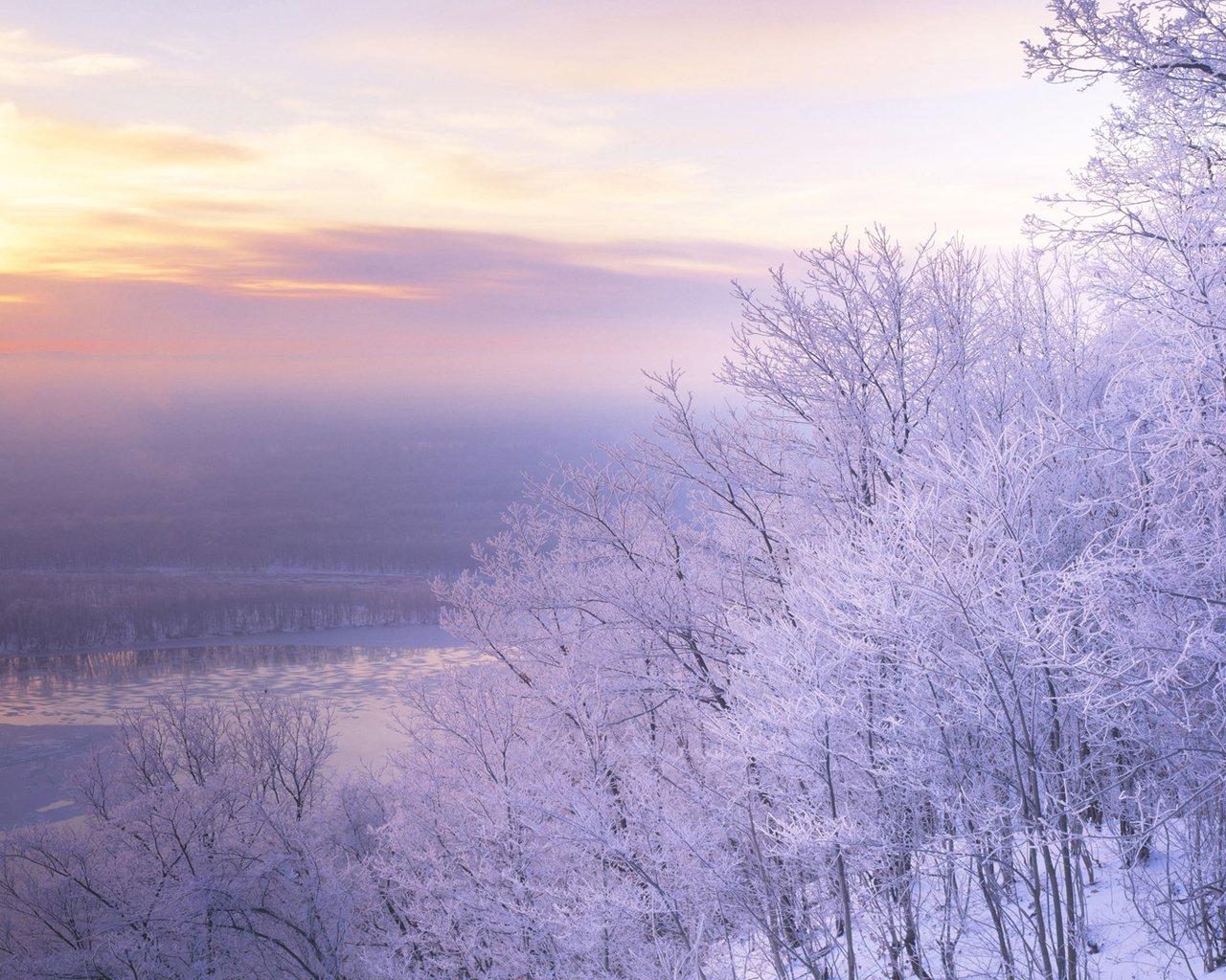 Обои деревья, снег, природа, закат, пейзаж, иней, сиреновое небо, trees, snow, nature, sunset, landscape, frost разрешение 1920x1080 Загрузить