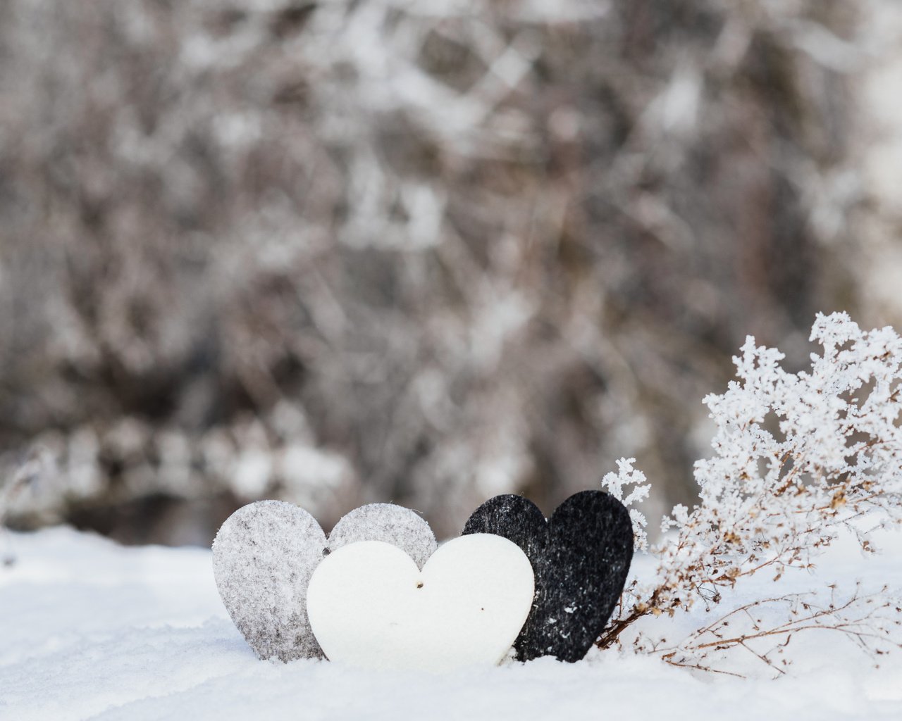 Обои снег, зима, сердце, любовь, романтик, валентинка, snow, winter, heart, love, romantic, valentine разрешение 2112x1188 Загрузить