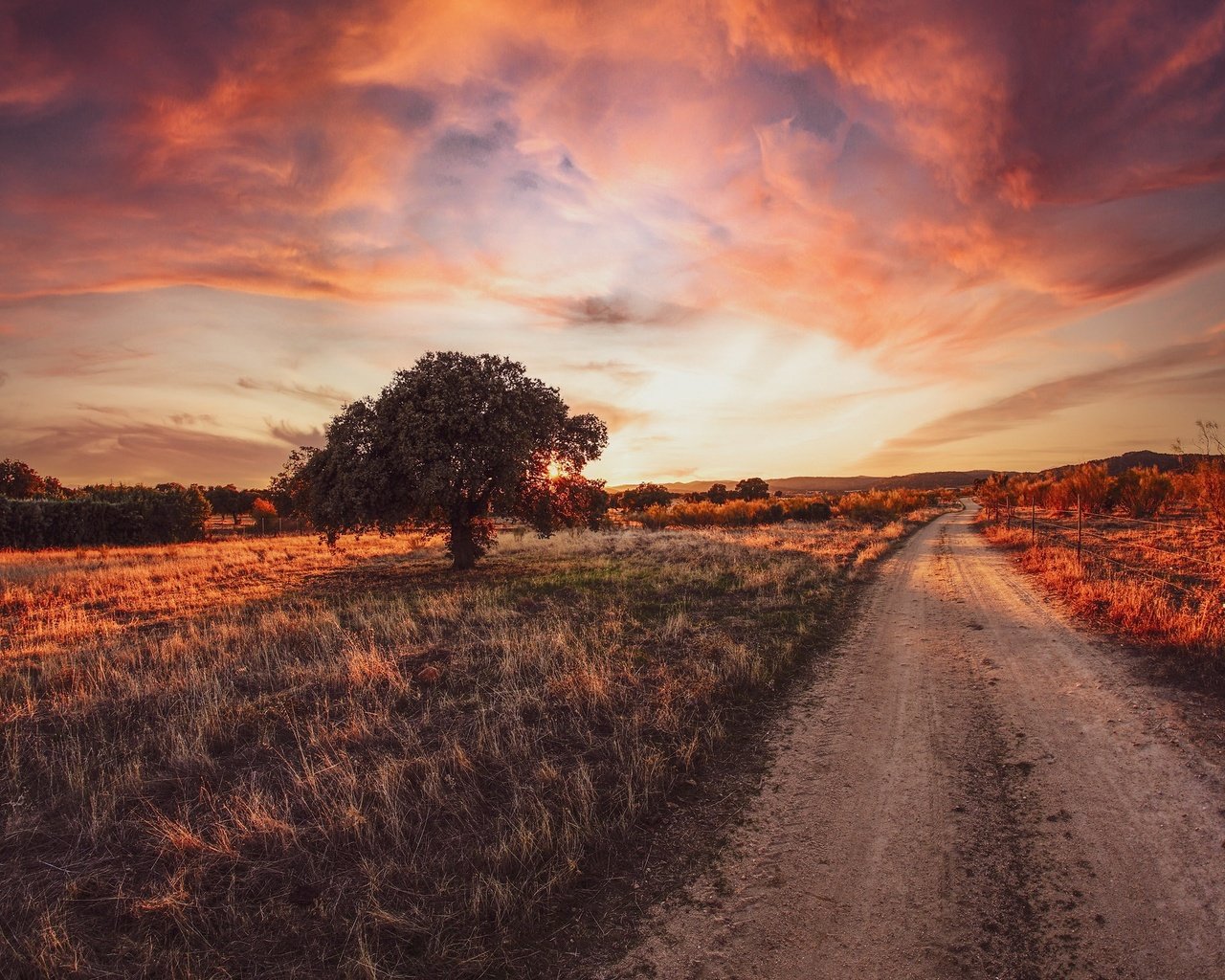 Обои дорога, дерево, закат, road, tree, sunset разрешение 2048x1365 Загрузить