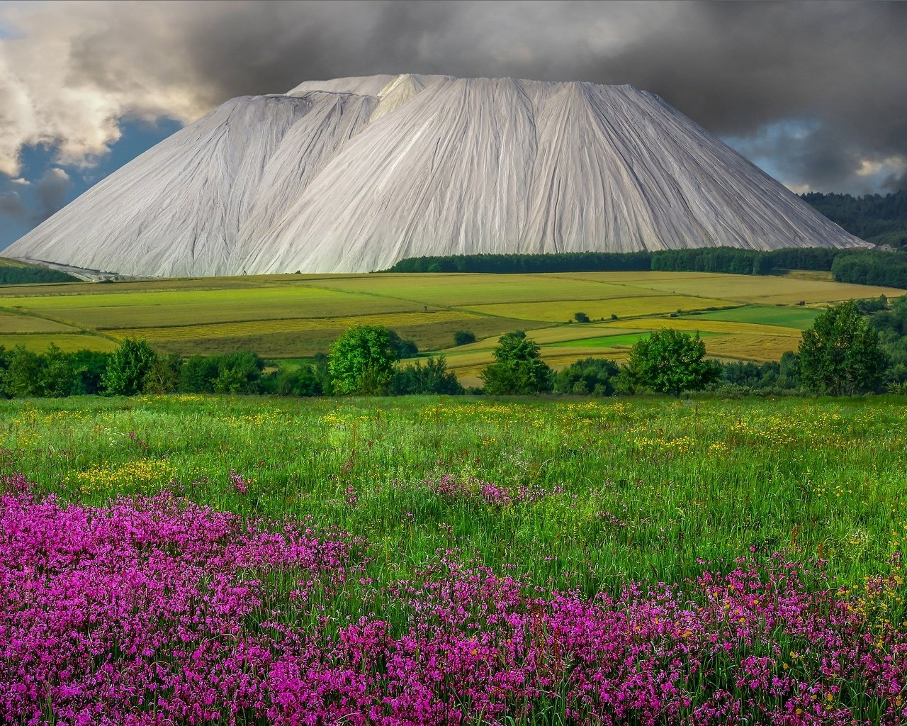 Обои цветы, горы, поле, гора, flowers, mountains, field, mountain разрешение 3840x2160 Загрузить