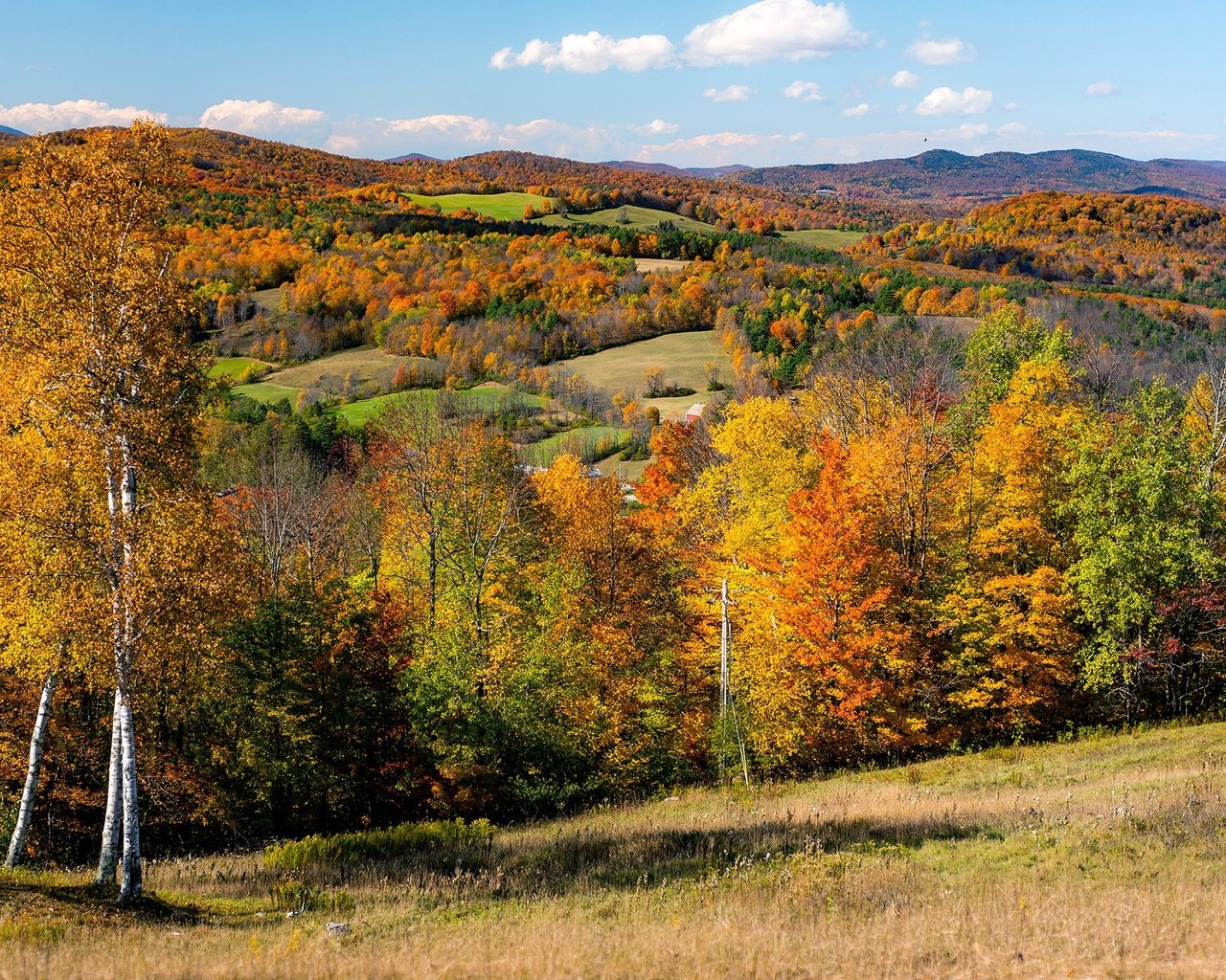 Обои деревья, солнце, холмы, поля, осень, сша, леса, вермонт, trees, the sun, hills, field, autumn, usa, forest, vermont разрешение 2048x1351 Загрузить