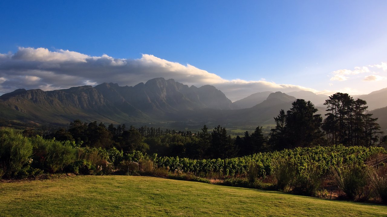 Обои горы, африка, виноградник, mountains, africa, vineyard разрешение 2560x1600 Загрузить