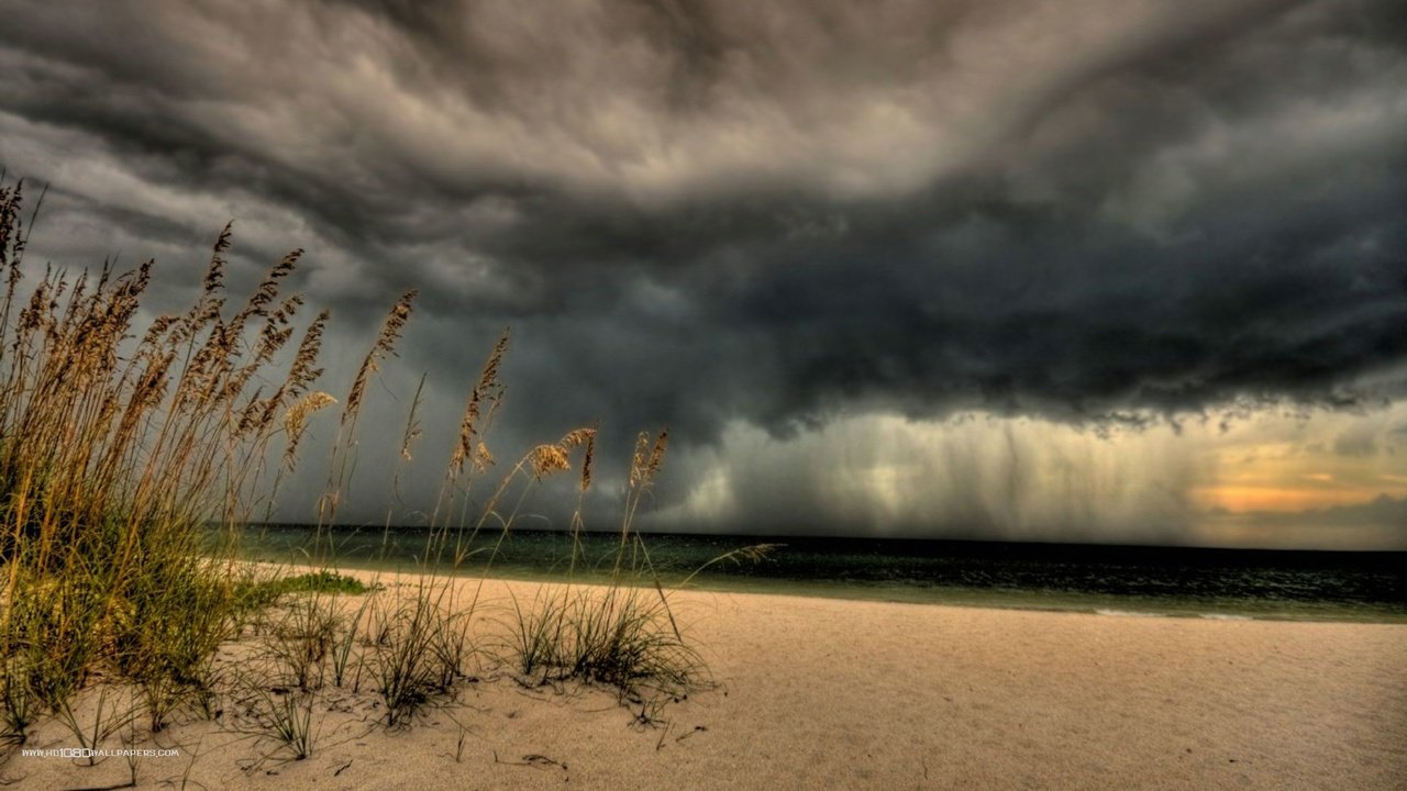 Обои небо, трава, берег, тучи, море, песок, пляж, колоски, the sky, grass, shore, clouds, sea, sand, beach, spikelets разрешение 1920x1080 Загрузить