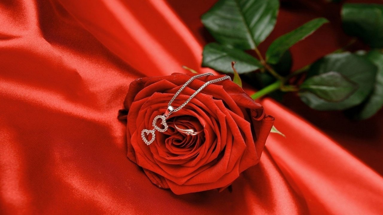 Обои цветок, роза, ткань, кольцо, сердечки, кулон, цепочка, роза и кулон с сердечком, flower, rose, fabric, ring, hearts, pendant, chain, rose and pendant with a heart разрешение 1920x1080 Загрузить