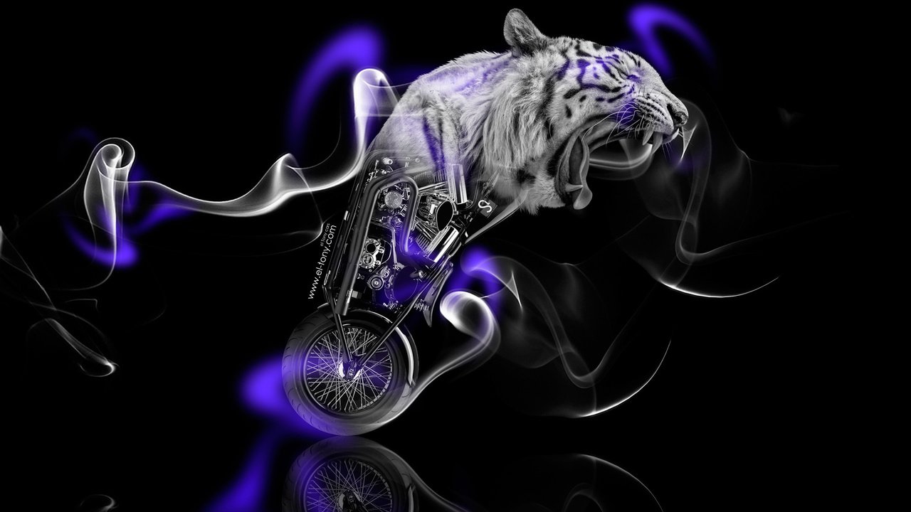 Обои тигр, байк, неон, мото, фентези, фэнтэзи, смок, фантастика, дым, фиолетовый, животное, мотоцикл, tiger, bike, neon, moto, fantasy, smok, fiction, smoke, purple, animal, motorcycle разрешение 1920x1080 Загрузить