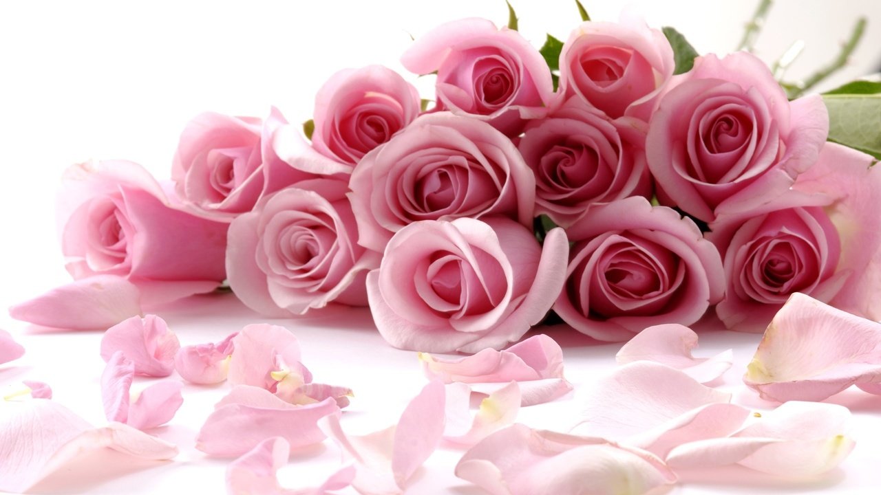 Обои цветы, бутоны, розы, лепестки, букет, 8 марта, на, flowers, buds, roses, petals, bouquet, march 8, on разрешение 2560x1600 Загрузить