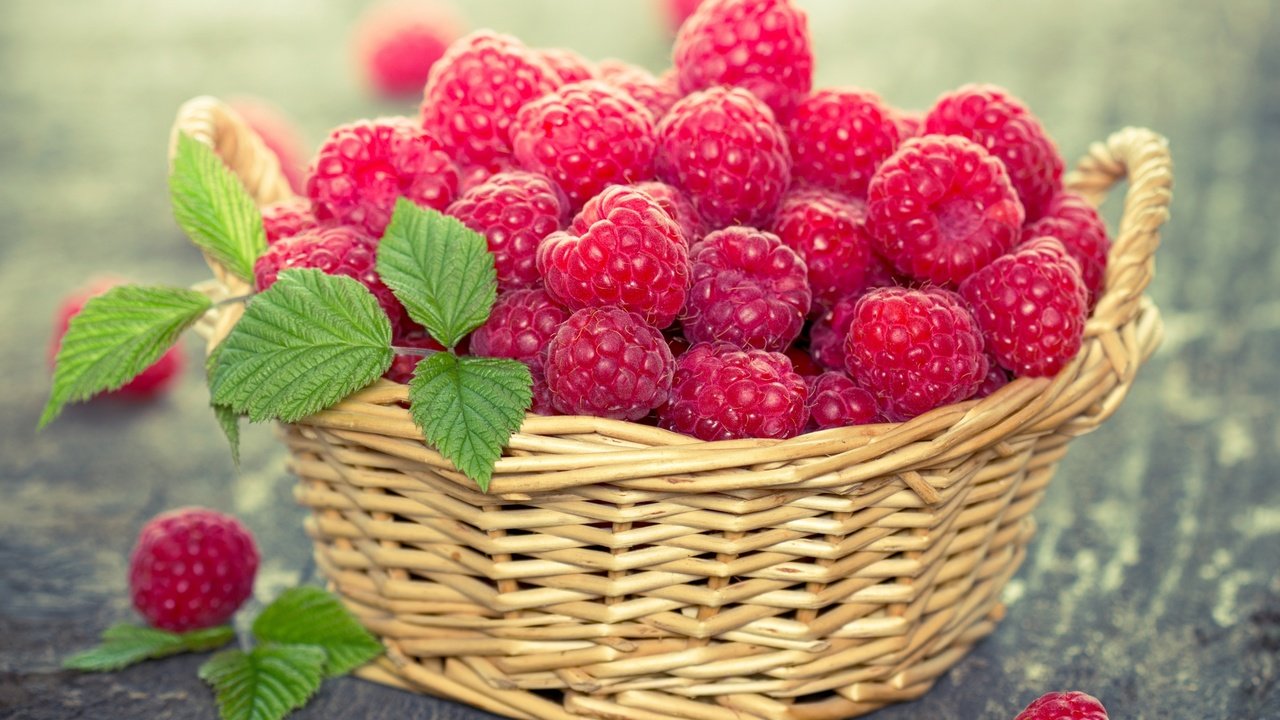 Обои малина, ягоды, листики, корзинка, raspberry, berries, leaves, basket разрешение 2880x2042 Загрузить