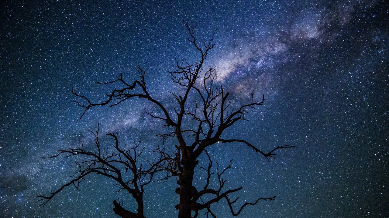 Обои небо, дерево, звезды, силуэт, млечный путь, the sky, tree, stars, silhouette, the milky way разрешение 2048x1356 Загрузить