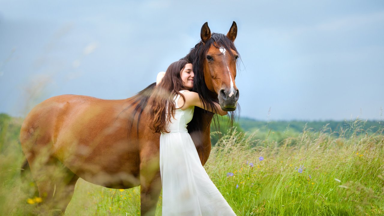 Обои природа, девушка, конь, nature, girl, horse разрешение 2048x1211 Загрузить