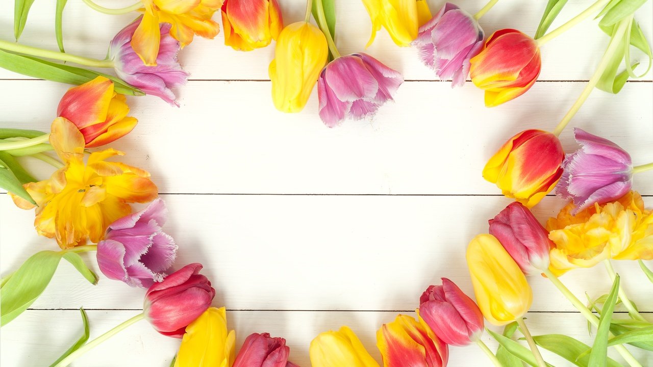 Обои парное, цветы, весенние, весна, красочная, букет, тюльпаны, дерева, красива, тульпаны,  цветы, яркая, fresh, flowers, spring, colorful, bouquet, tulips, wood, beautiful, bright разрешение 4288x2848 Загрузить
