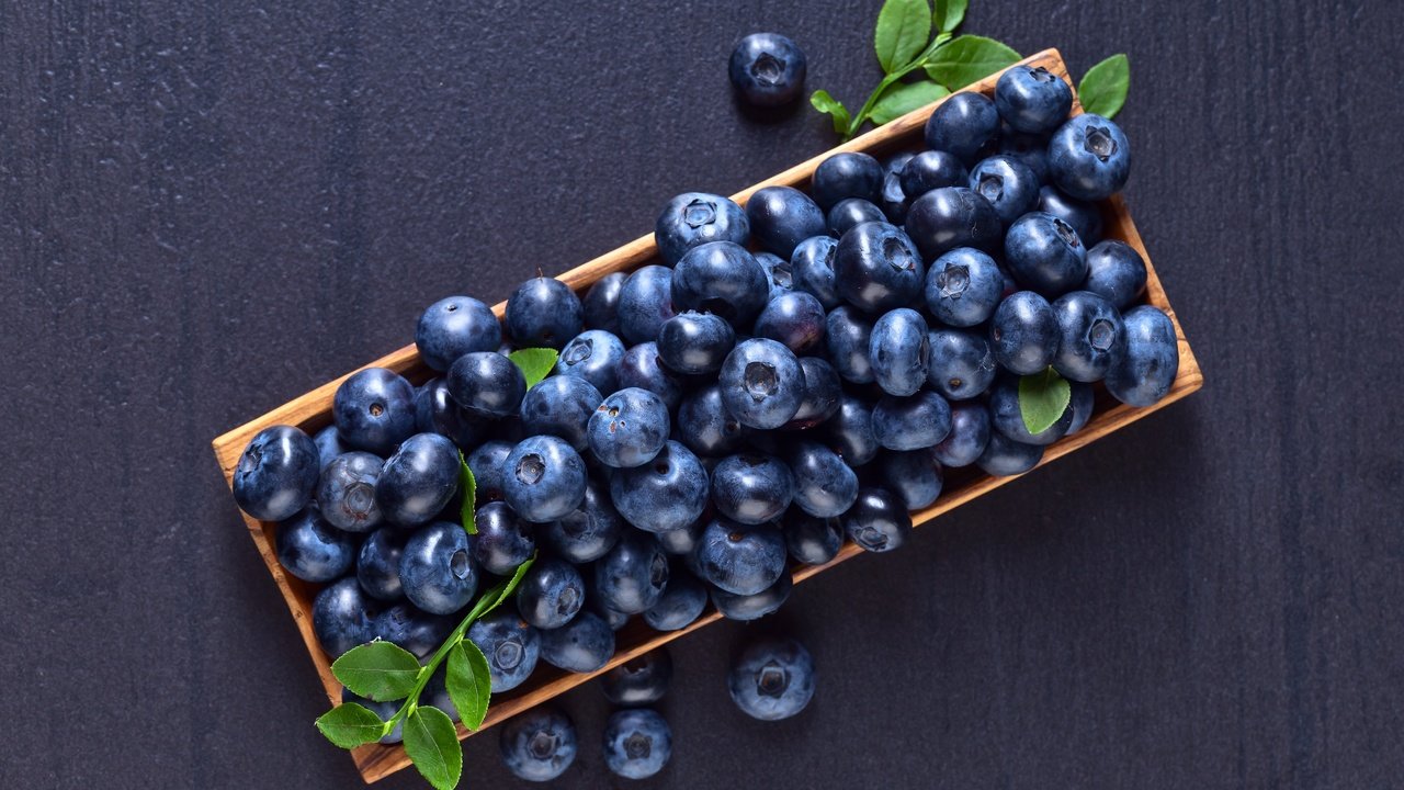Обои еда, витамины, ягоды, черника, корзинка, черничный, food, vitamins, berries, blueberries, basket, blueberry разрешение 5070x3660 Загрузить