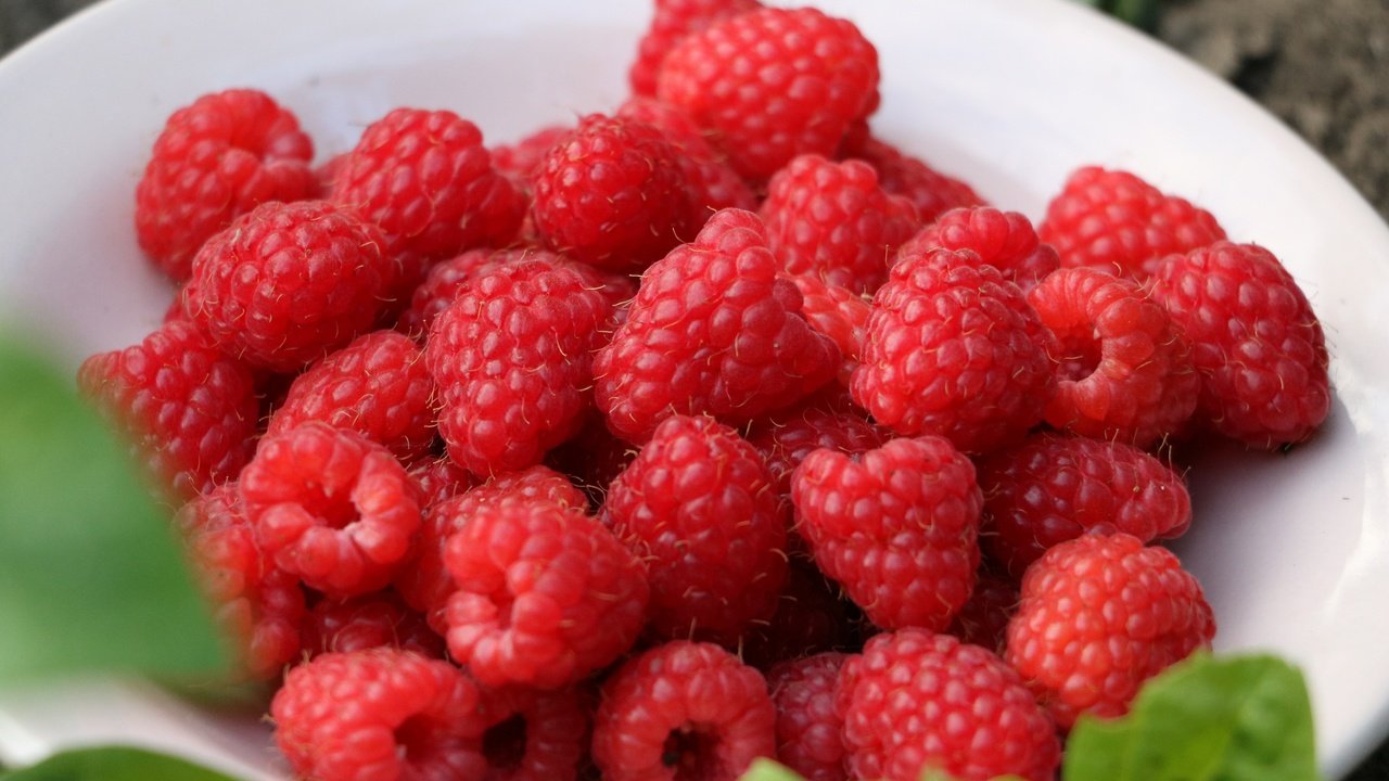 Обои малина, ягоды, урожай, тарелка, raspberry, berries, harvest, plate разрешение 3840x2400 Загрузить