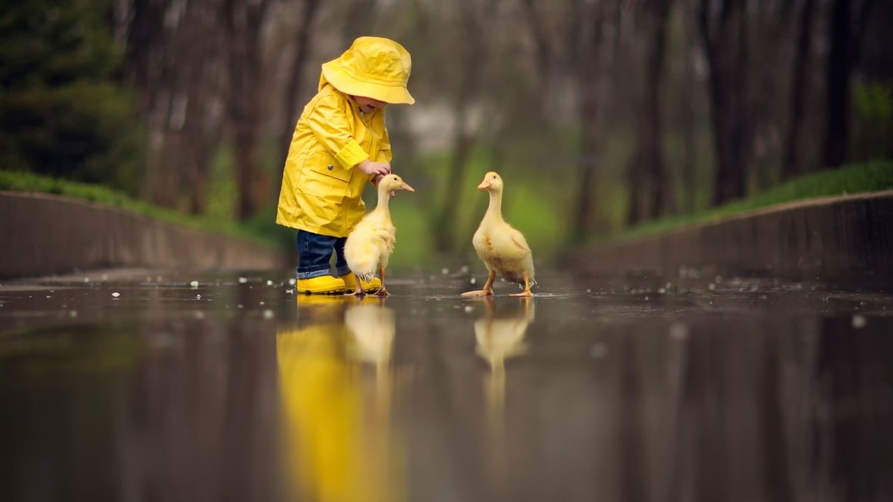 Обои природа, девочка, дождь, ребенок, дружба, маленькая, гуси, nature, girl, rain, child, friendship, little, geese разрешение 1920x1080 Загрузить