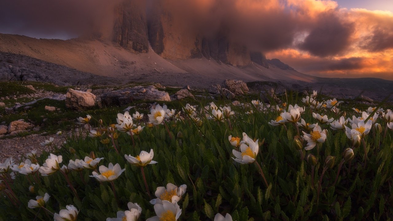 Обои свет, цветы, облака, горы, природа, весна, альпы, light, flowers, clouds, mountains, nature, spring, alps разрешение 1920x1693 Загрузить