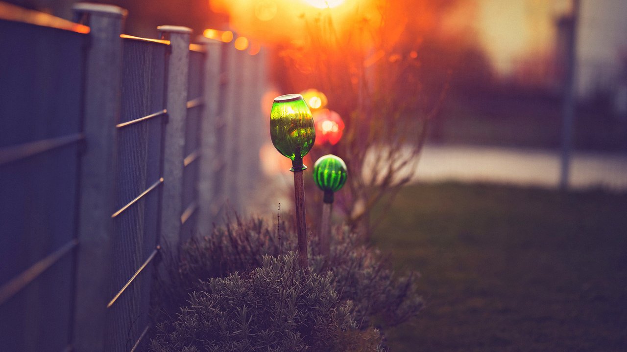 Обои макро, кусты, забор, боке, светильники, macro, the bushes, the fence, bokeh, lamps разрешение 1920x1200 Загрузить