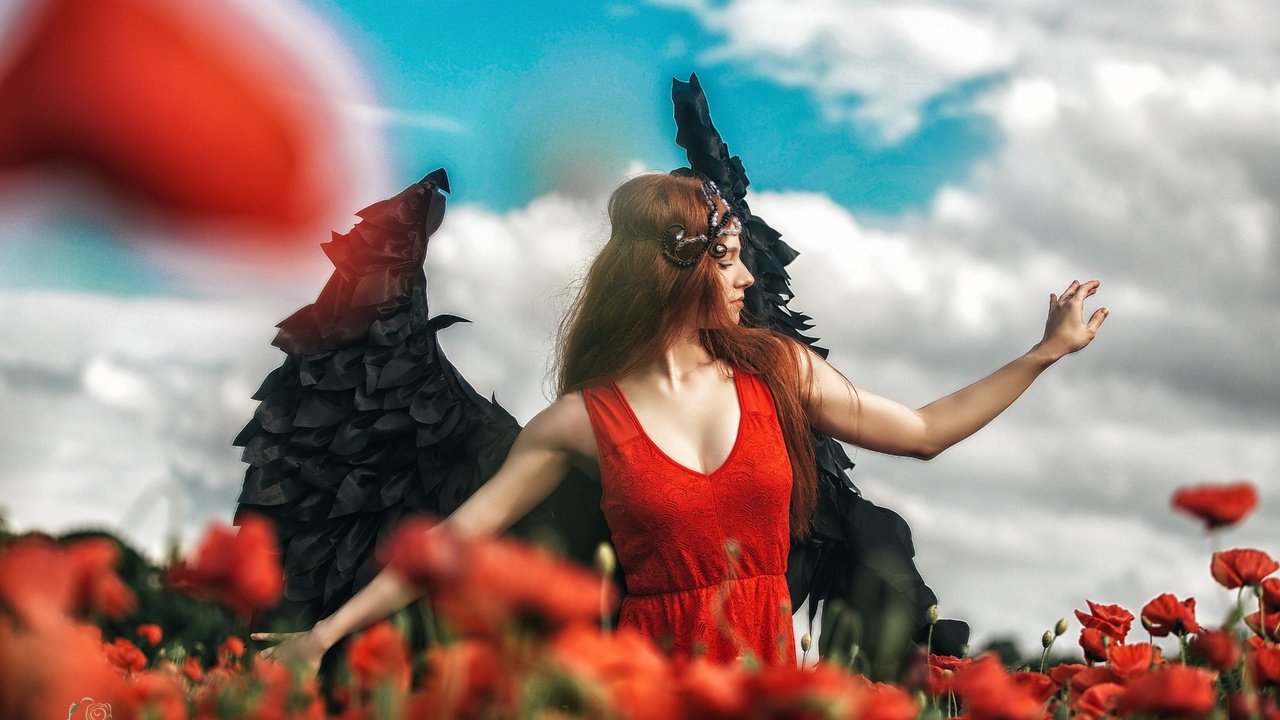 Обои небо, цветы, облака, девушка, маки, волосы, лицо, the sky, flowers, clouds, girl, maki, hair, face разрешение 2048x1365 Загрузить