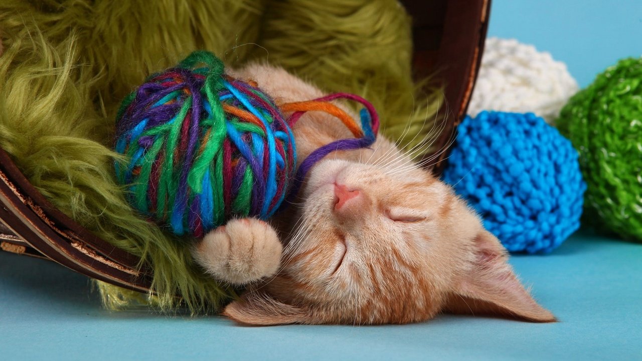 Обои кот, кошка, сон, котенок, спит, рыжий, клубки, нитки, пряжа, yarn, cat, sleep, kitty, sleeping, red, balls, thread разрешение 2048x1152 Загрузить