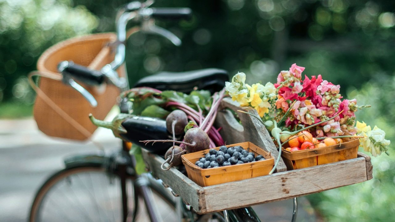 Обои цветы, лето, фрукты, овощи, велосипед, боке, flowers, summer, fruit, vegetables, bike, bokeh разрешение 2048x1383 Загрузить