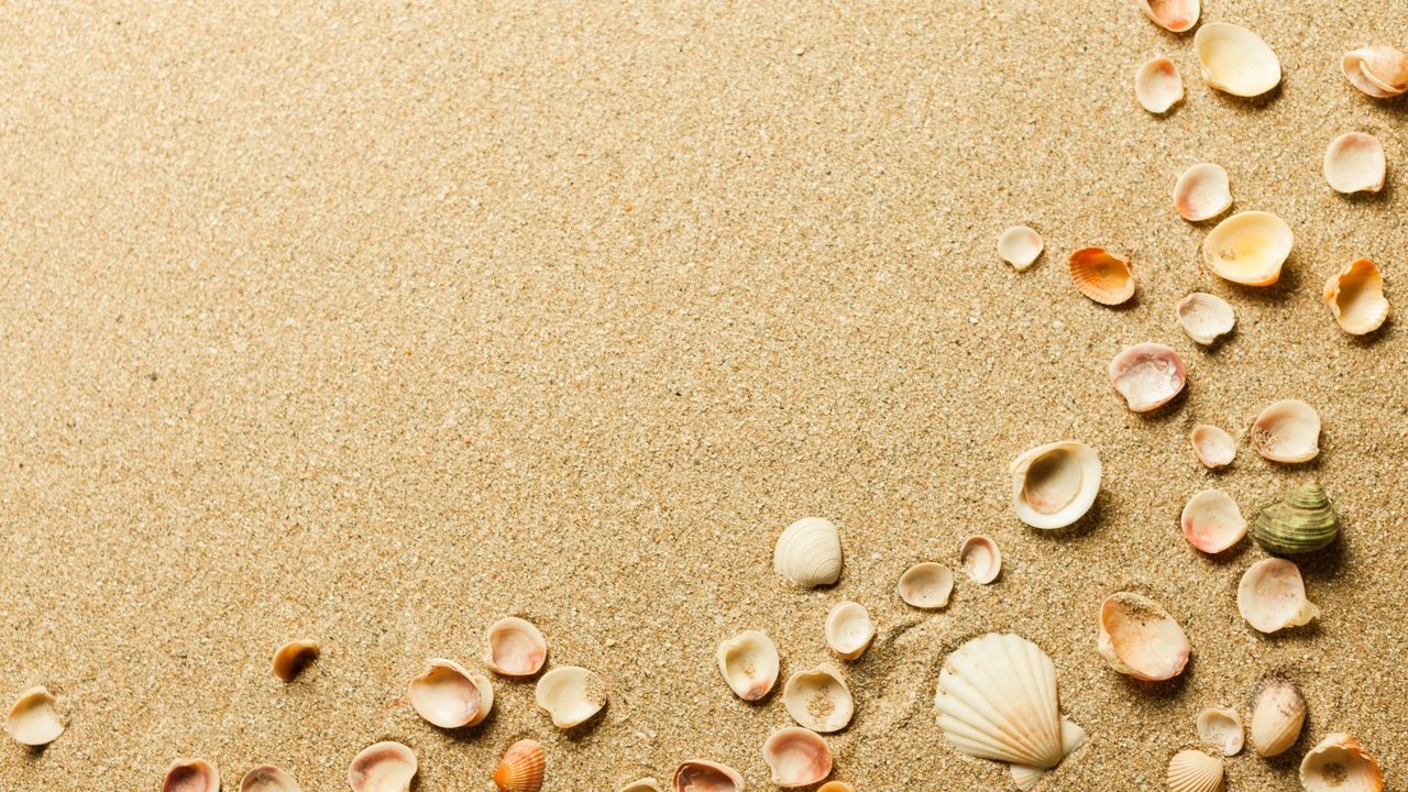 Обои песок, пляж, ракушки, sand, beach, shell разрешение 3840x2560 Загрузить