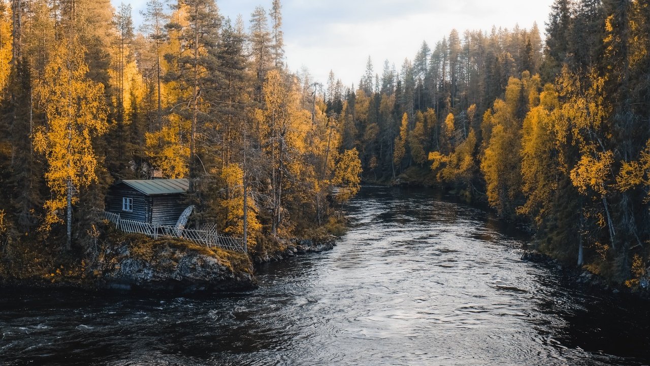 Обои река, лес, осень, дом, river, forest, autumn, house разрешение 2048x1366 Загрузить