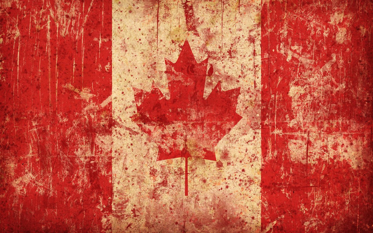 Обои флаг, канада, кленовый лист, flag, canada, maple leaf разрешение 2560x1600 Загрузить