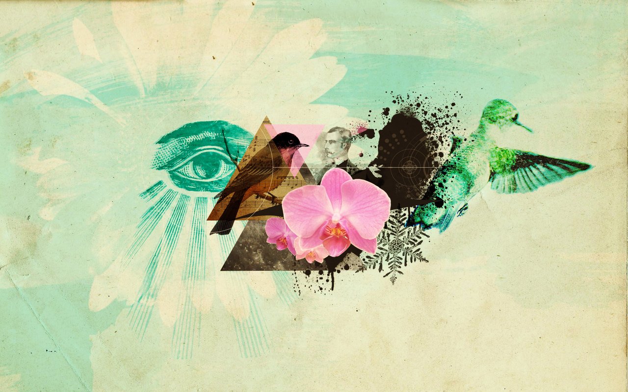 Обои абрстракция, цветок, птицы, глаз, коллаж, abstractia, flower, birds, eyes, collage разрешение 1920x1200 Загрузить