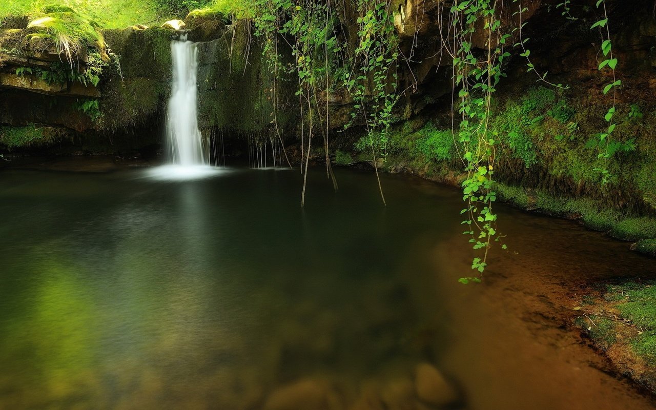 Обои озеро, природа, лес, водопад, лианы свисают, прозрачная вода, lake, nature, forest, waterfall, vines hang down, clear water разрешение 1920x1200 Загрузить