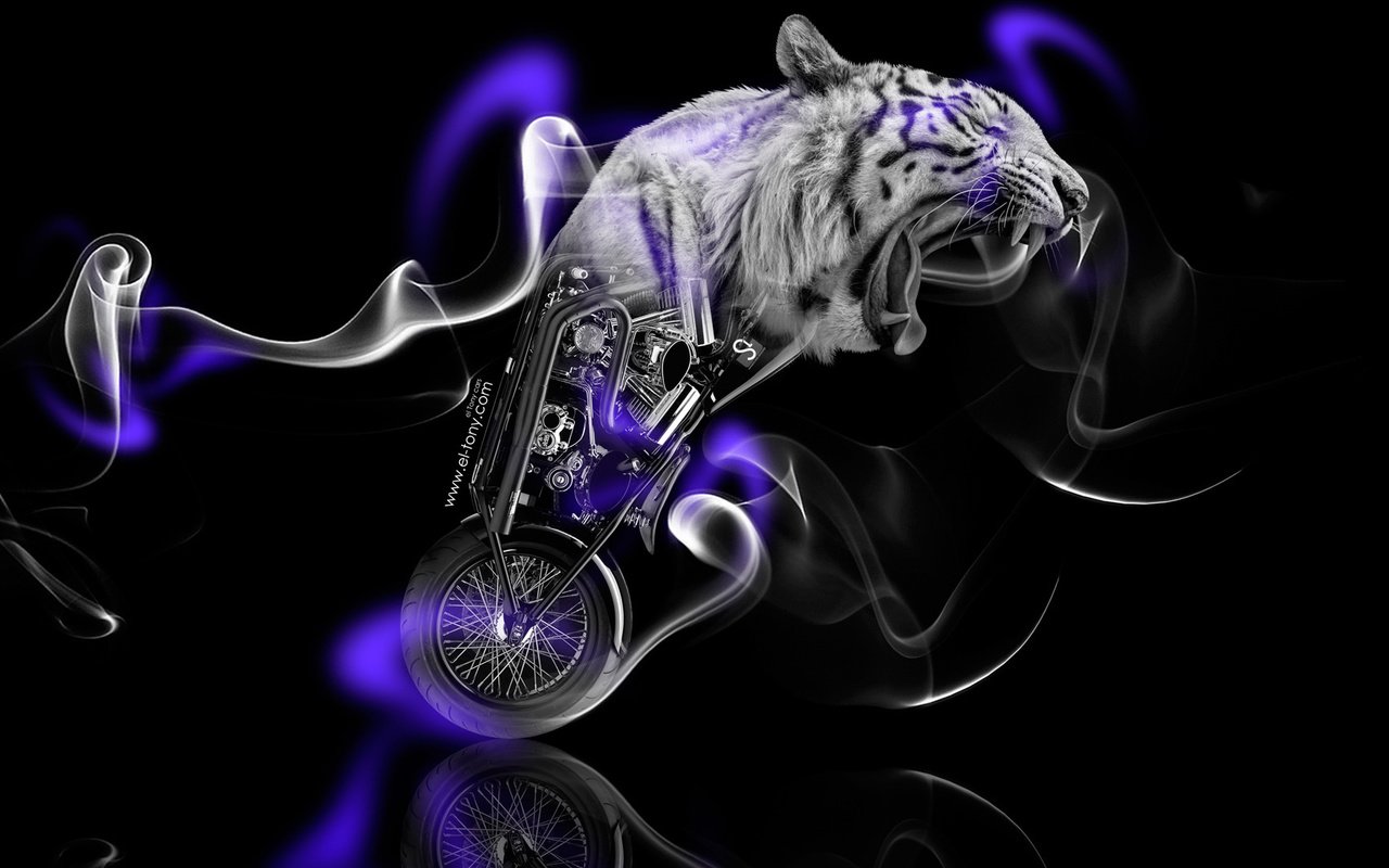 Обои тигр, байк, неон, мото, фентези, фэнтэзи, смок, фантастика, дым, фиолетовый, животное, мотоцикл, tiger, bike, neon, moto, fantasy, smok, fiction, smoke, purple, animal, motorcycle разрешение 1920x1080 Загрузить