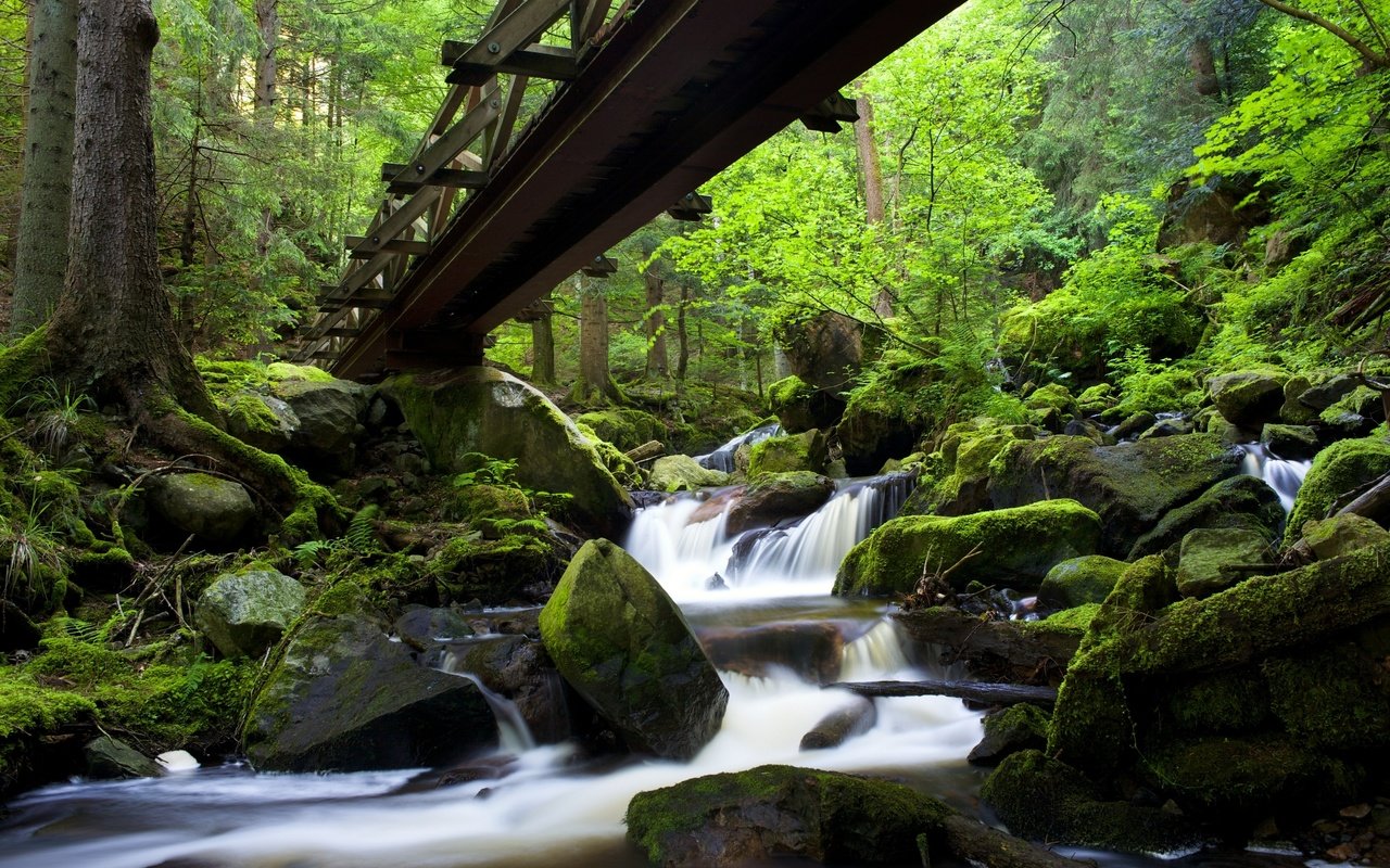 Обои скалы, камни, лес, мост, водопад, мох, германия, rocks, stones, forest, bridge, waterfall, moss, germany разрешение 3000x2000 Загрузить