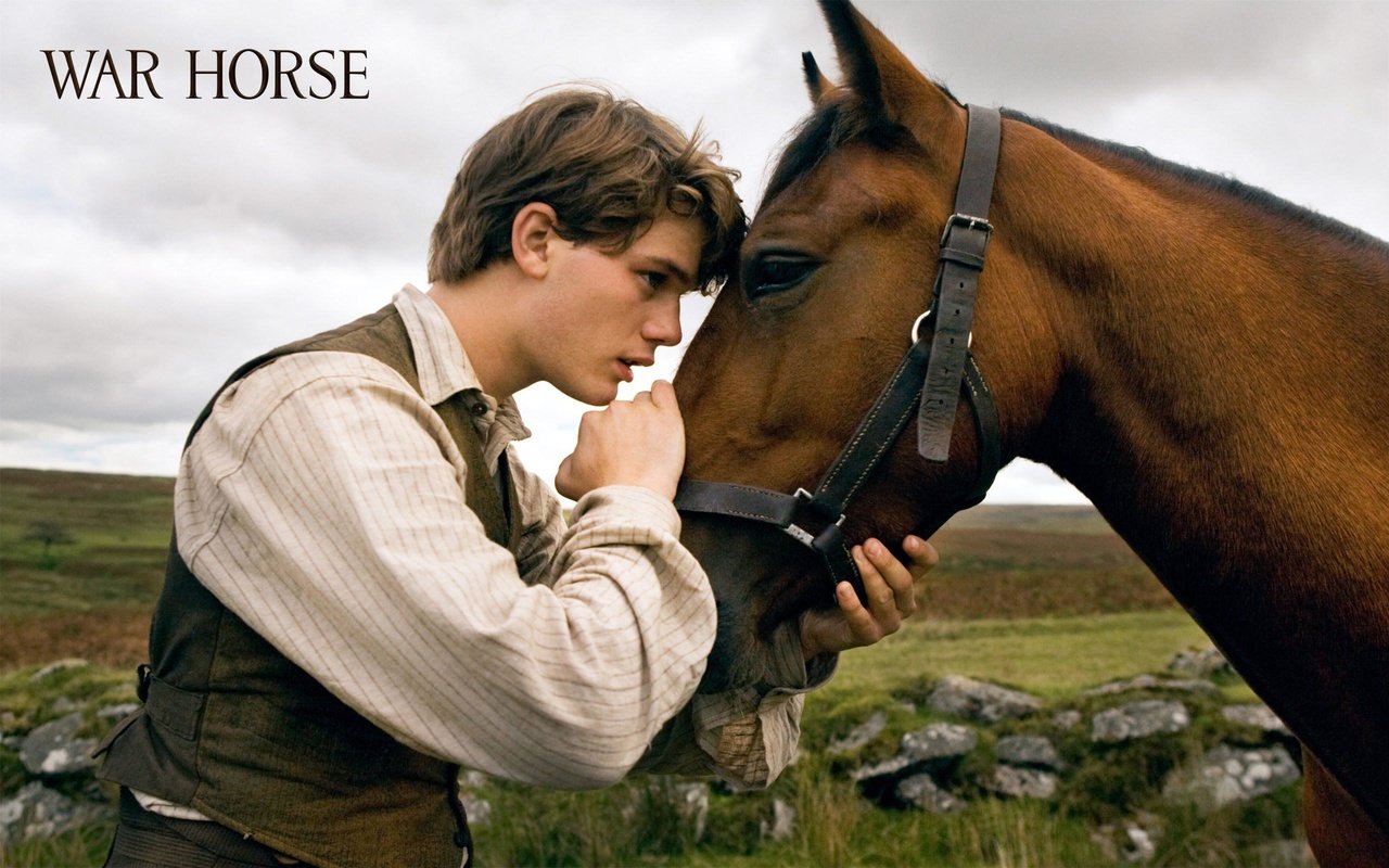 Обои фильм, боевой конь, джереми ирвин, the film, war horse, jeremy irvine разрешение 2560x1600 Загрузить