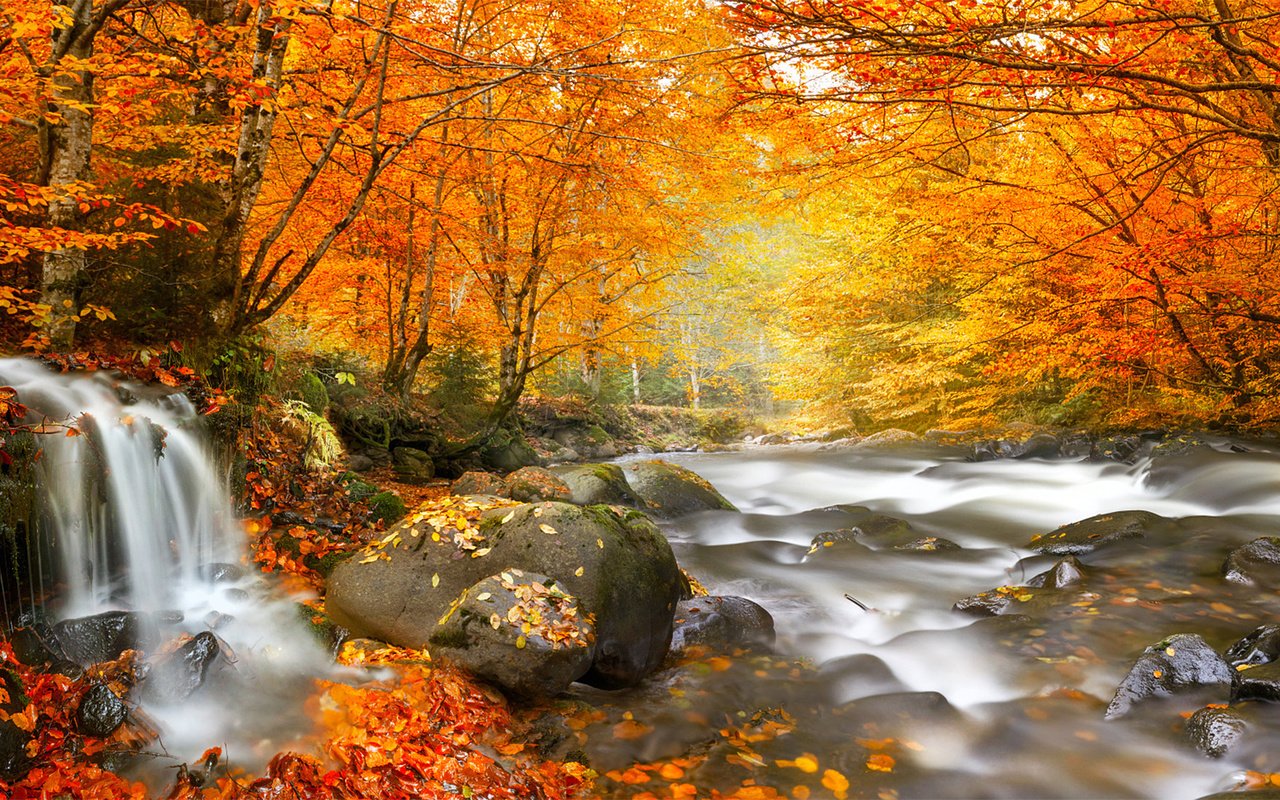 Обои деревья, река, камни, лес, листья, водопад, осень, румыния, trees, river, stones, forest, leaves, waterfall, autumn, romania разрешение 1920x1080 Загрузить