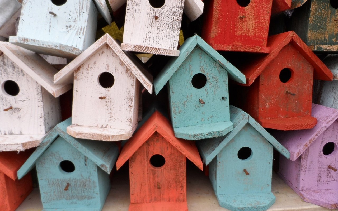 Обои домики, крыша, скворечник, птичьи домики, скворечники, houses, roof, birdhouse, bird houses, birdhouses разрешение 1920x1440 Загрузить