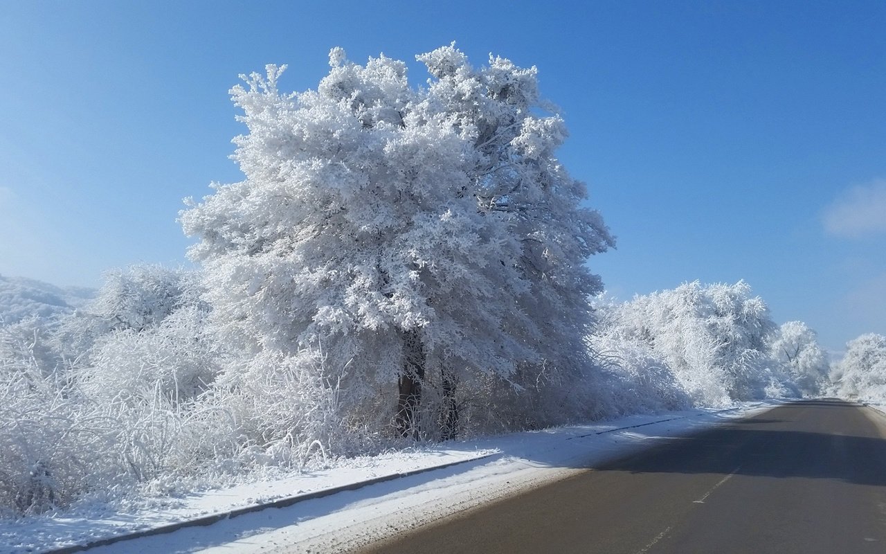 Обои небо, дорога, деревья, снег, природа, зима, кусты, иней, the sky, road, trees, snow, nature, winter, the bushes, frost разрешение 1920x1080 Загрузить