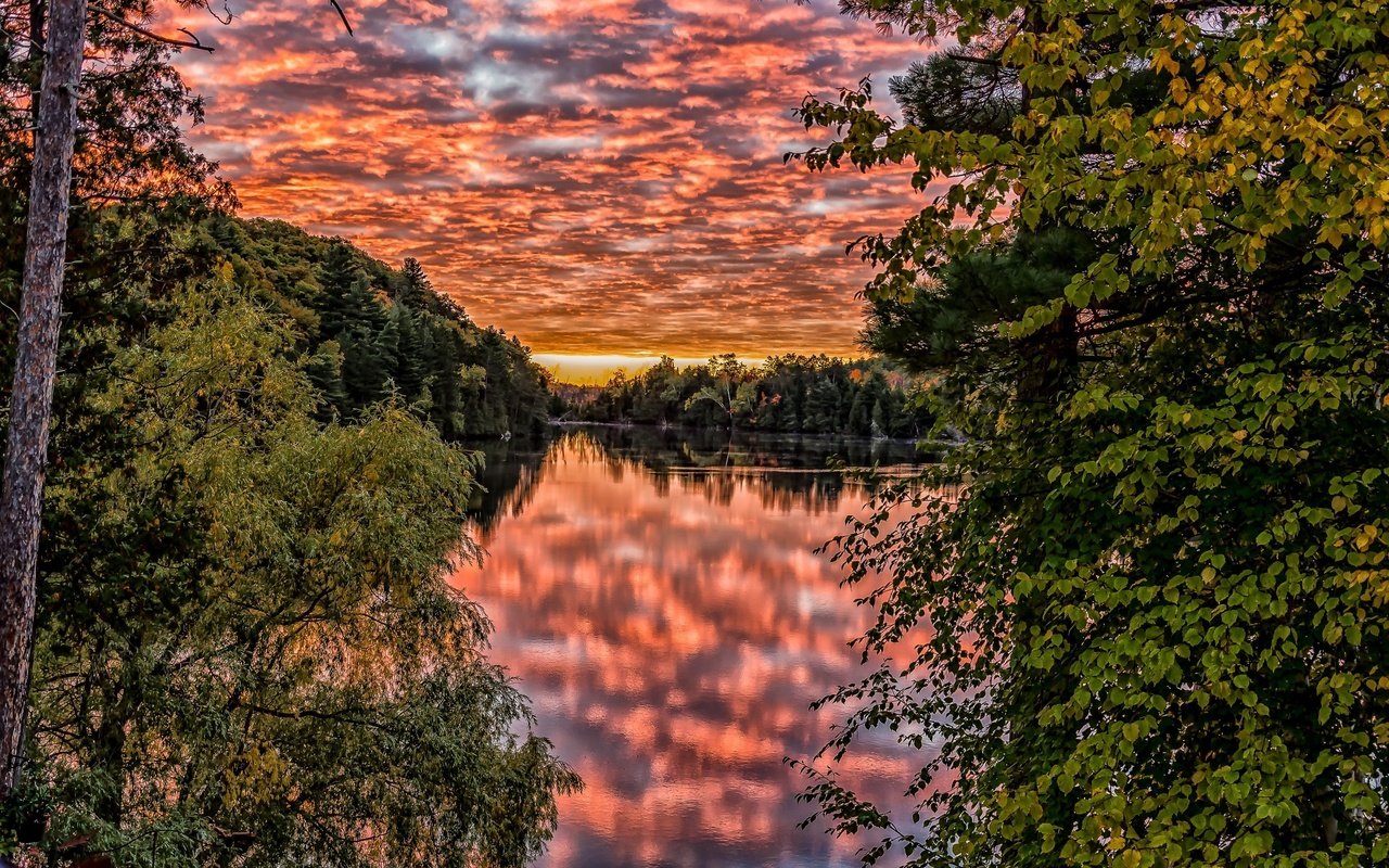 Обои небо, облака, деревья, озеро, природа, закат, отражение, ветки, the sky, clouds, trees, lake, nature, sunset, reflection, branches разрешение 3840x2160 Загрузить